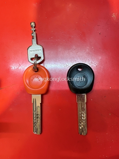 Duplicate security door keys and duplicate special keys