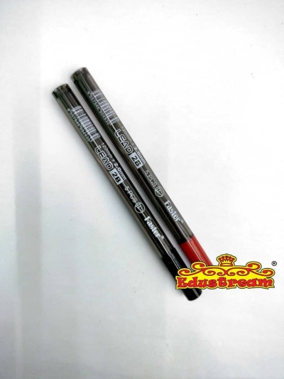 FASTER 2B PENCIL LEAD 2.0MM  (5'S/TUBE) PL-F-205