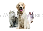 Pet Treatment Products Pet Treatment Products Pets Healthcare Products