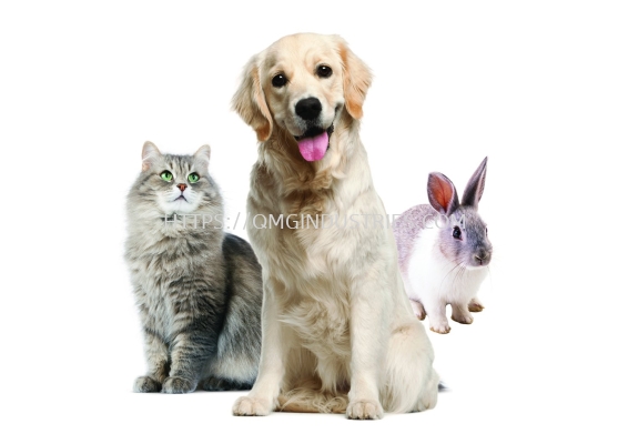 Pet Treatment Products