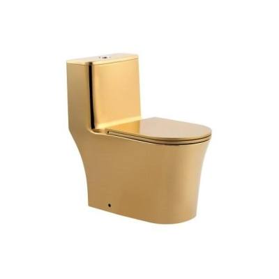 Washdown Toilet with Rimless Flushing Technology