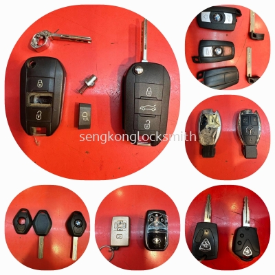 We can replace various types of car remote control cases