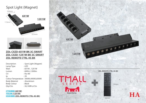 Magnetic Track