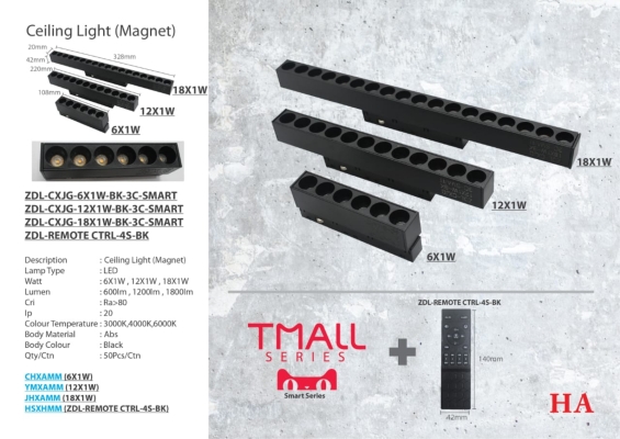 Magnetic Track