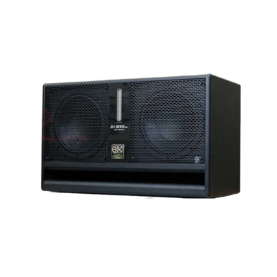 BIK BJ-W88 PLUS 12 Passive Subwoofer