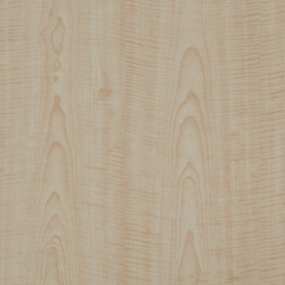 GM12-2089 FRENCH SYCAMORE