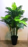 1.8m Phoenix Palm AP539 floristkl (Rent Available) Artificial Plant (Sell & Rent)