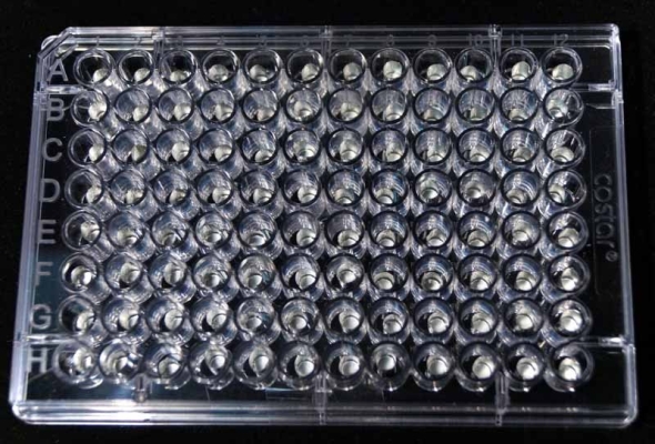 Capsules Holder Tray