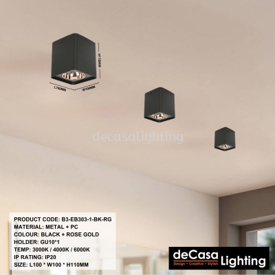 SURFACE DOWNLIGHT (B3-EB303-1-BK-RG)