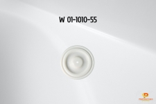 Replacement W01-1010-55 Diaphragm, PTFE for Wilden Pump