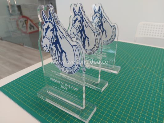 Customize Clear Acrylic Trophy