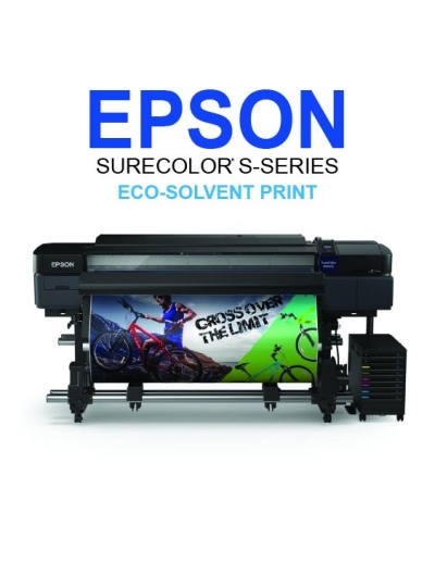 EPSON SC-S60670L (Bulk Ink)