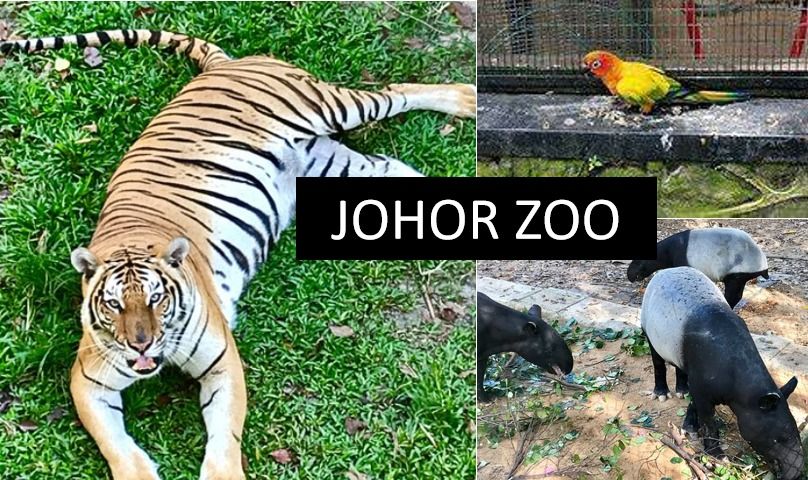 JOHOR ZOO IN JOHOR BAHRU