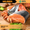 AMOZ FAST ELISA | Biorex Food Diagnostics by Muser Antibiotics Biorex Food Diagnostics (BFD)