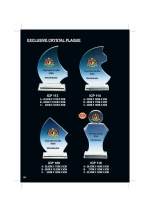 EXCLUSIVE CRYSTAL PLAQUE ICP113 - ICP110