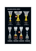 EXCLUSIVE CRYSTAL TROPHY ICV141 - ICV164