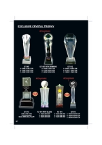 EXCLUSIVE CRYSTAL TROPHY ICT007 - ICT015