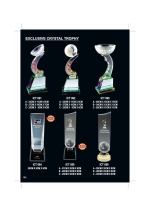 EXCLUSIVE CRYSTAL TROPHY ICT058-ICT064