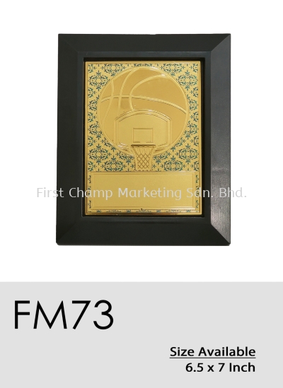 FM73