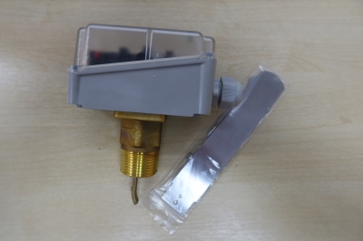 REGIN FLS304X PADDLE TYPE WATER FLOW SWITCH (PN11 BAR IP65 15 (8) A 24 250VAC) (MADE IN ITALY)