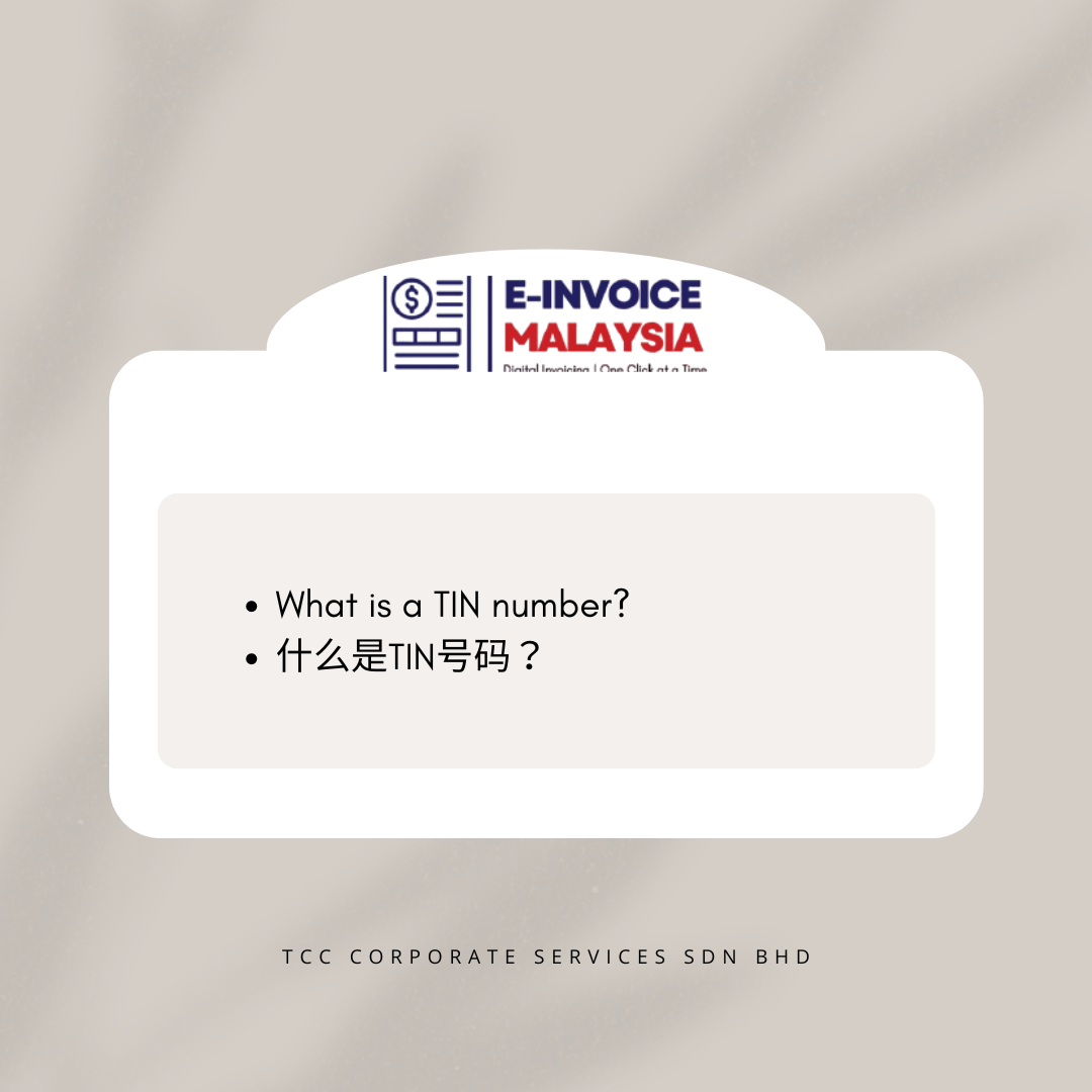 What is a TIN number? | 什么是TIN号码？