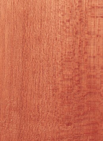 Dark Red Meranti Wood