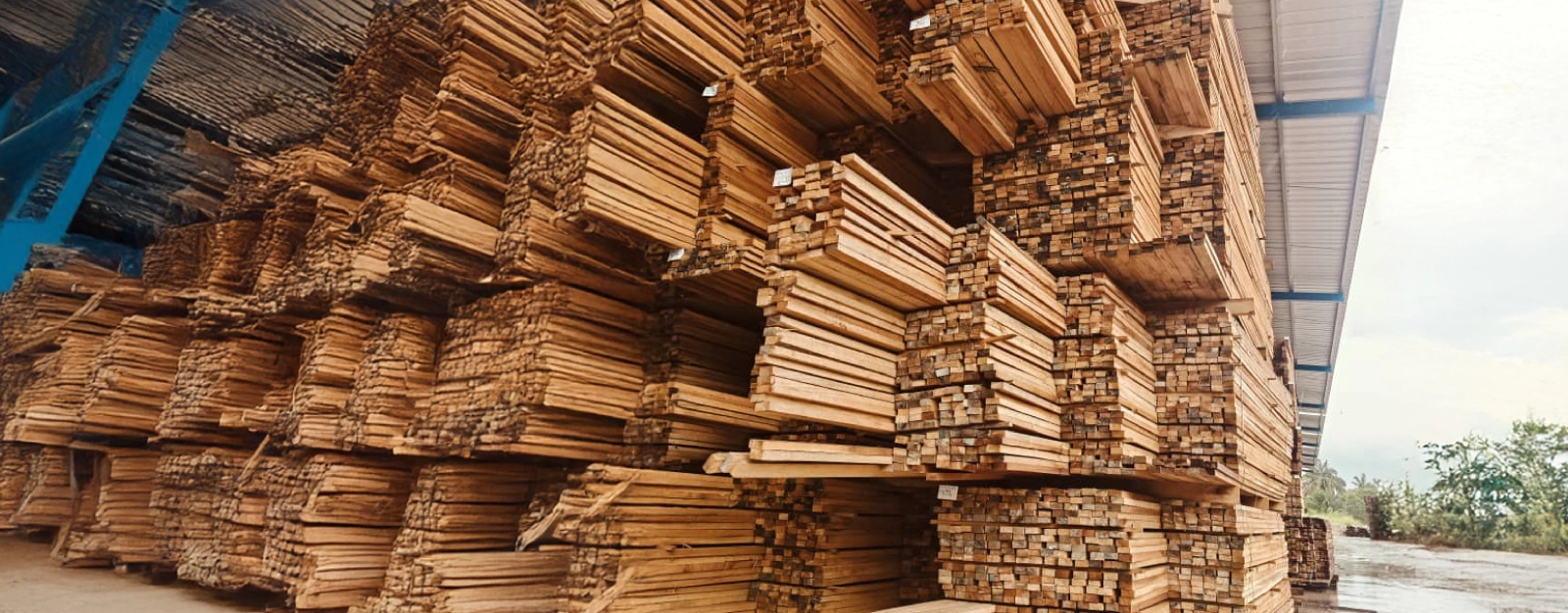Timber Supplier Malaysia | Construction Wood Supplies Johor | Plywood ...