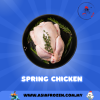 Spring Chicken 童子鸡 【800-900g +-】 FRESH CHICKEN