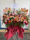 Op 49 Congrat Floral 开幕祝贺Business Opening Business Anniversary Business Opening Floral