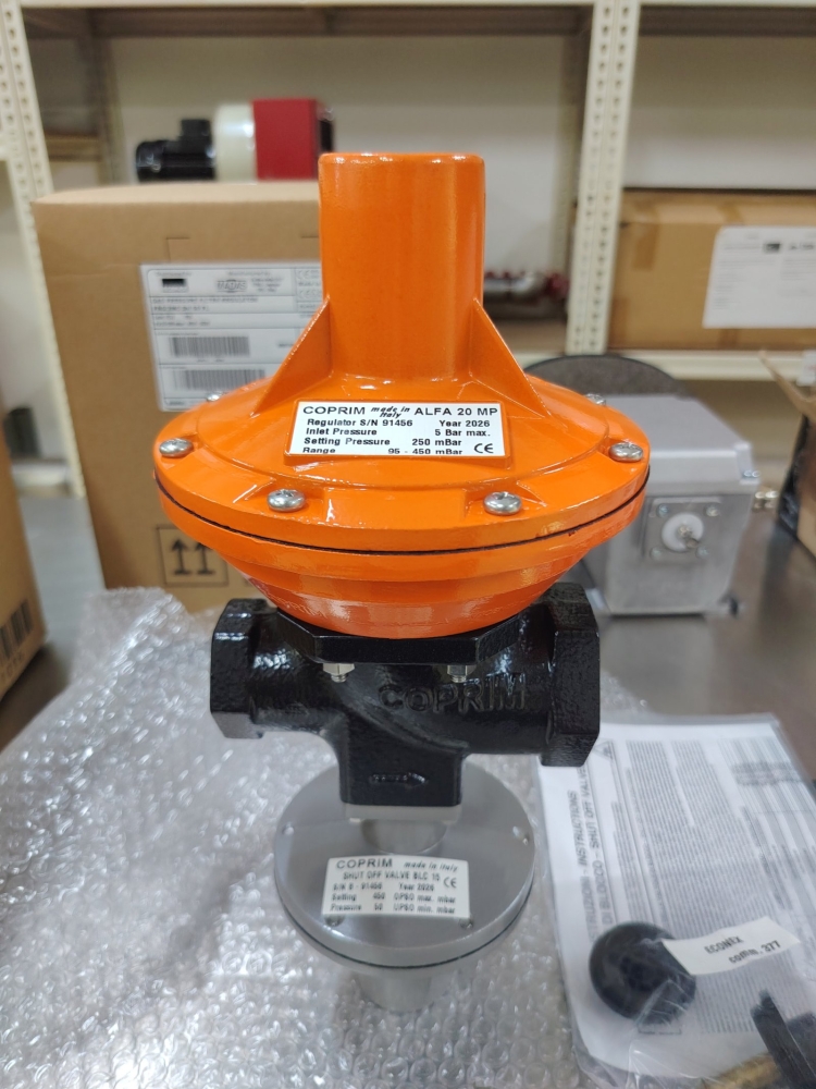 ECONEX ALFA Pressure Regulator 1"x1-1/2" Pmax 5 bar Spring Range 260-450 mbar