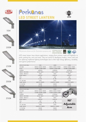 Perkunas LED Street Lantern Philips Driver (New Model)