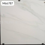 M66787 (60cmX 60cm)
