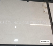 ASE66101 (60cmX60cm)