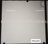 M66200 (60X60cm)