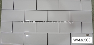 WM36503 (30cmx60cm)