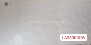 LA36303OW (30cmx60cm)