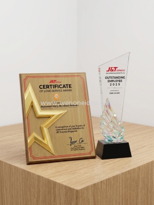 Customize Crystal Trophy & Wooden Plaque