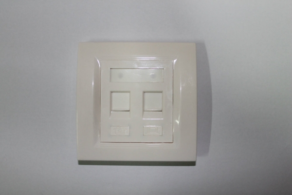 RJ45 Face Plate Cat5e ALL-LINK Double Port 