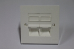 RJ45 Face Plate Cat 6 ALL-LINK Double Port 45degree Modular Plug, Modular Jack, Face Plate Networking Products