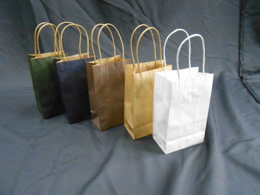 620001 - PAPER BAG 13Hx22Lcm (10pcs)