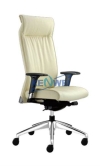 Pegaso Office Chair