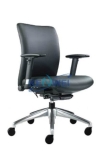 Ergo Office Chair