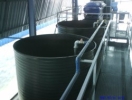 HDPE Chemical & Water Storage Tank DLM Series DLM HDPE Spiral Type Storage Tank