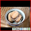 (Coming Soon) Raw / Boiled Abalone Abalone