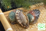 (Coming Soon) Raw / Boiled Abalone Abalone