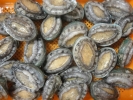 (Coming Soon) Raw / Boiled Abalone Abalone