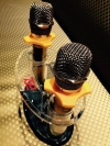 Mic Karaoke Box