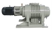 ZJ Roots Vacuum Pump Roots Vacuum Pump Vacuum Pump