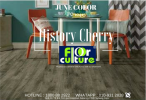 FC 10415 (HISTORY CHERRY) - 8mm Floor Culture AC3 ; 8mm/12mm Laminate Flooring