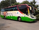 Bas Persiaran 44 Seater Tour Bus Rental Executive Tour Bus Rental 